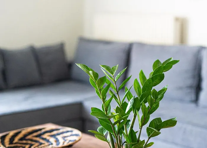 Apartament Callista Living Chania (Crete)